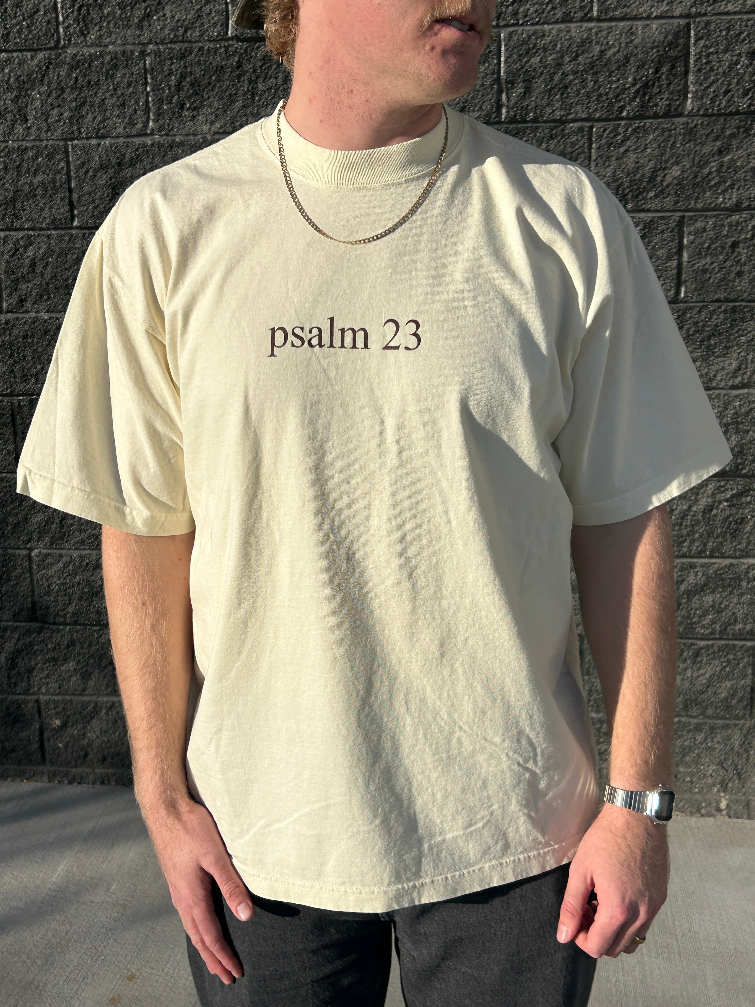 Psalm 23 Oversized Tee